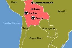 Bolivia follow Argentina in seizing control of Spanish companies