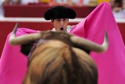 Spain studies protecting bullfighting as national pastime