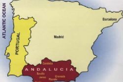 Andalusia guarantees 3 meals per day  for poor Schoolchildren