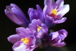 Procedures to follow after a death in Spain Procedures to follow after a death in Spain