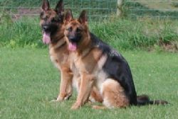 Common-Law Partnerships In Spain - 'Pareja de Hecho' Common-Law Partnerships In Spain - 'Pareja de Hecho'