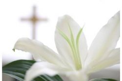 Etiquette when attending a Spanish Funeral Etiquette when attending a Spanish Funeral