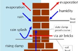 How to react to damp in a Spanish property