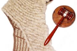 The Legal and Judical System in Spain The Legal and Judical System in Spain