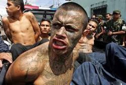 Madrid begins deporting Latino street gang members Madrid begins deporting Latino street gang members