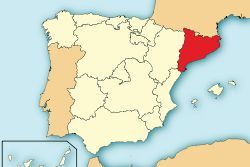 Spain arrests 9 in operation against Islamists in Catalonia