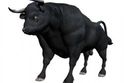 Four people gored to death by bulls in Spain over weekend Four people gored to death by bulls in Spain over weekend