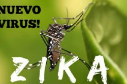 Spain Confirms 27 Cases of Zika Virus 