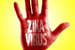 Zika Virus: What Travellers Need to Know Zika Virus: What Travellers Need to Know