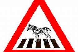 Spanish City launches 'female' pedestrian crossings Spanish City launches 'female' pedestrian crossings