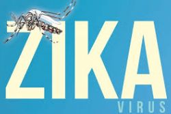 43 cases of Zika virus infection confirmed in Spain