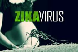 58 cases of Zika virus infection confirmed in Spain 58 cases of Zika virus infection confirmed in Spain