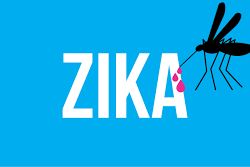 Spain gets first case of Zika in a fetus