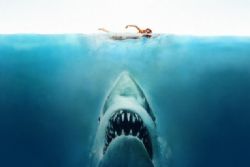 Shark Attack Closes Costa Blanca Beach Shark Attack Closes Costa Blanca Beach
