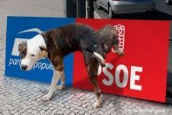 Spain’s regional parties call on Socialists to lead a coalition government Spain’s regional parties call on Socialists to lead a coalition government
