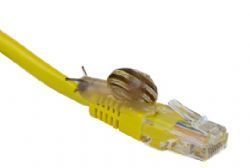 Spain cuts high-speed broadband red tape Spain cuts high-speed broadband red tape