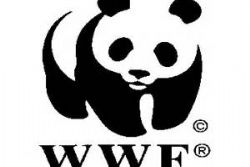 Spanish wetlands and wildlife sanctuary under threat: WWF Spanish wetlands and wildlife sanctuary under threat: WWF