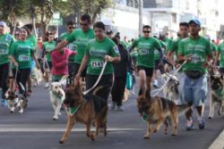 Thousands of Dogs and Owners March Against Animal Cruelty