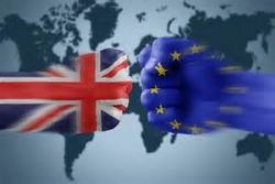 As expat groups organize, the Brexit fightback begins As expat groups organize, the Brexit fightback begins