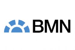 Bankia, BMN merger expected in a few weeks Bankia, BMN merger expected in a few weeks