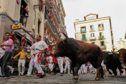 Bare-chested Pamplona marchers call for end to bull runs