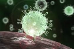 Spain's coronavirus death toll rises by 56 to 28,628 on Friday Spain's coronavirus death toll rises by 56 to 28,628 on Friday
