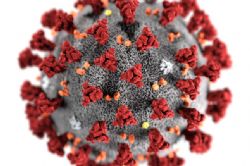 Spain reports two new COVID-19 deaths, total at 27,121 Spain reports two new COVID-19 deaths, total at 27,121