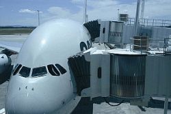 Ryanair confirm cuts at Alicante El Altet Ryanair confirm cuts at Alicante El Altet