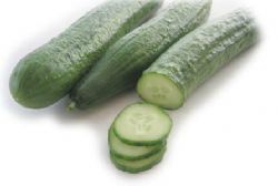 Spanish Veg Producer Sues Germany Spanish Veg Producer Sues Germany