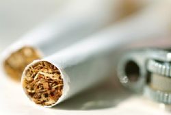 Black Market Tobacco Expected to Increase Black Market Tobacco Expected to Increase