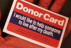 Organ donation in Spain reaches record levels