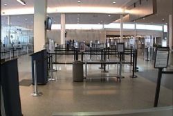 Domestic air passenger numbers fell in January Domestic air passenger numbers fell in January
