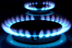 Spain gas grid sees 2012 demand up 2.5 pct