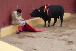 13'000 Bulls killed for 'sport' in Spain each year