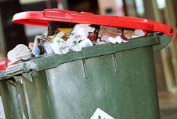 Girona forces Supermarkets to lock  bins