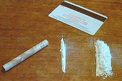 Spain seizes members of major Mexico drug cartel Spain seizes members of major Mexico drug cartel