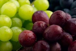Grape Expectations Grape Expectations