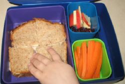 Further controversy over school lunch charges