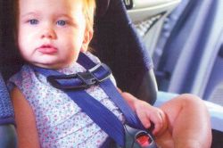 Child seatbelts not worn in 54% of fatalities