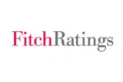 Spain 'Pivotal for Euro area' : Fitch's