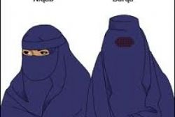 Catalan Town Lifts Burqa Ban