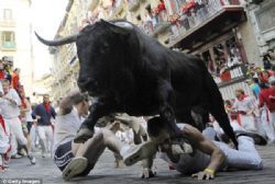 Spain's Pamplona bull run ends in stampede