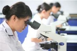 Spain's Science Industry In Crisis Spain's Science Industry In Crisis