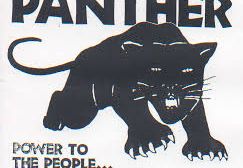 Panther on the loose in Almeria