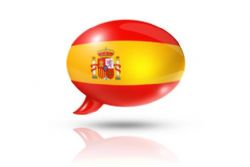 Education reform protects Spanish more than other official languages Education reform protects Spanish more than other official languages