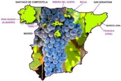 Spain overtakes France as world's second-biggest wine producer