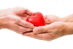 Spain sets example for world in organ donation