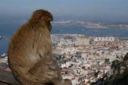 Spain congratulates new UK FM and calls for 'Dialogue on Gibraltar' Spain congratulates new UK FM and calls for 'Dialogue on Gibraltar'