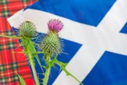 Catalonia awaits Scotland Independence vote Catalonia awaits Scotland Independence vote