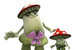Spanish Regional Gov't Enforces Mushroom Protection Law Spanish Regional Gov't Enforces Mushroom Protection Law